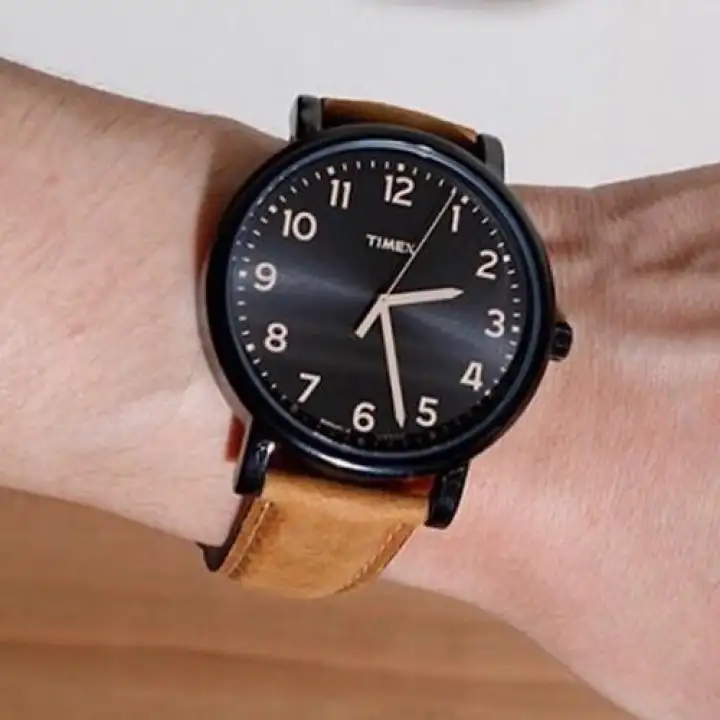 timex originals