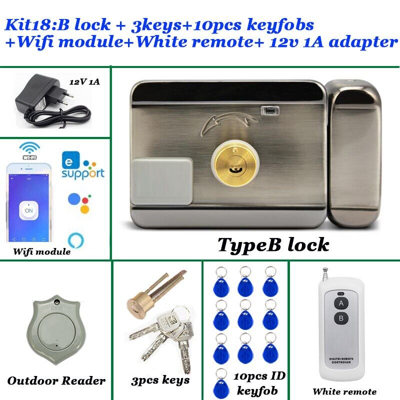 Khóa Cửa Điện Điều Khiển Từ Xa Điện Thoại Ewelink Tùy Chọn 12V Mở Khóa Tự Động Khóa Cổng RFID Bộ Mở Cổng Điều Khiển Ess