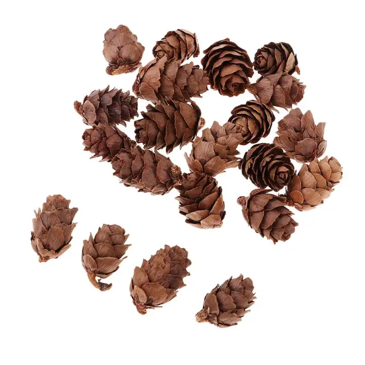 Prettyia 50pcs Mini Small Natural Dried Pine Cones In Bulk Dried