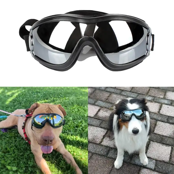 doggles glasses