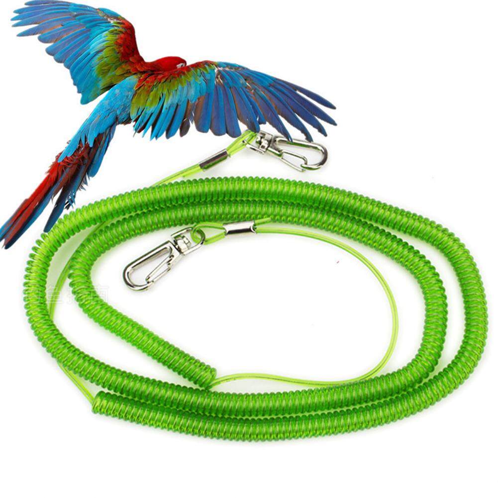 Are Rope Toys Safe For Parrots Wow Blog