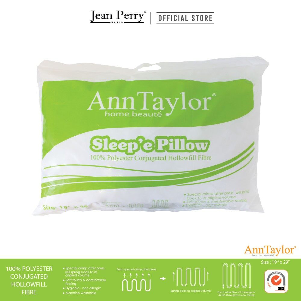 ann taylor pillow