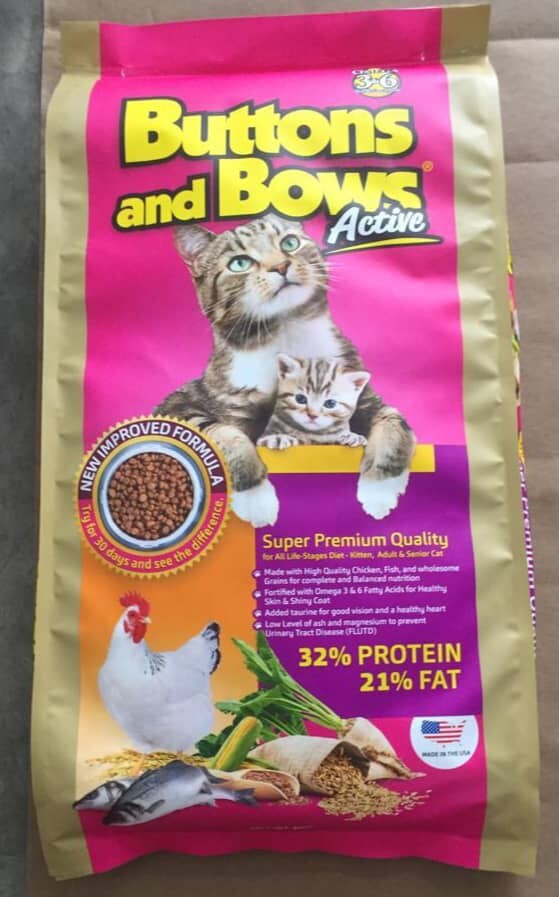 button and bows kitten