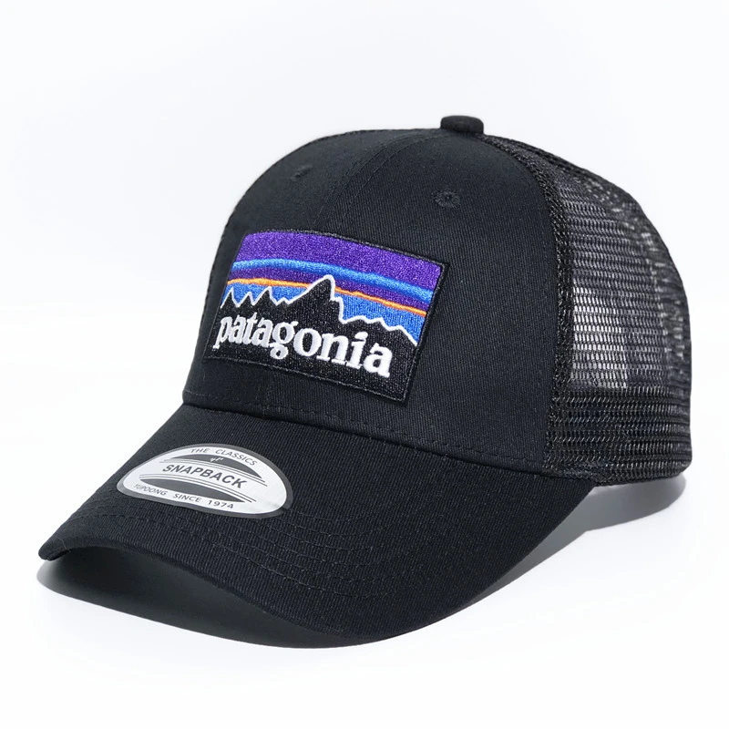 patagonia cap amazon