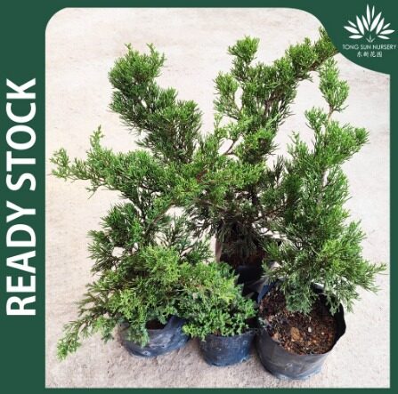 c5c9fb9a2d758a8ecb42ec2cc4f880