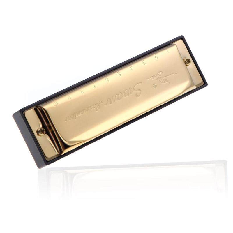 Swan Diatonic Harmonica 10 Holes Blues Harp Mouth Organ Key of G Reed Instrument with Case Golden Malaysia