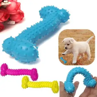 lazada dog toys