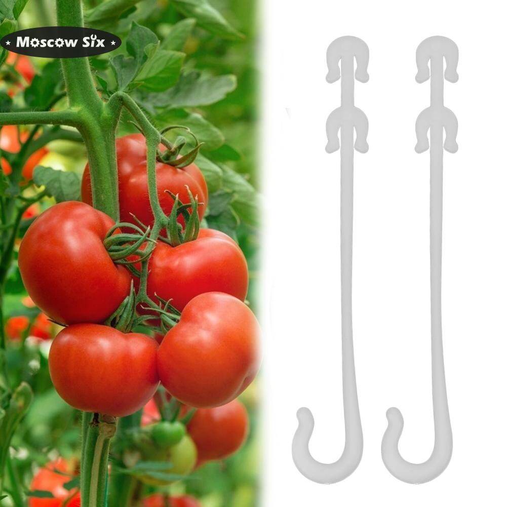 50pcs J Shape Fruit Cherry Tomato Ear Hook Garden Vegetable Plant Support Vines Fastener Tied Clips