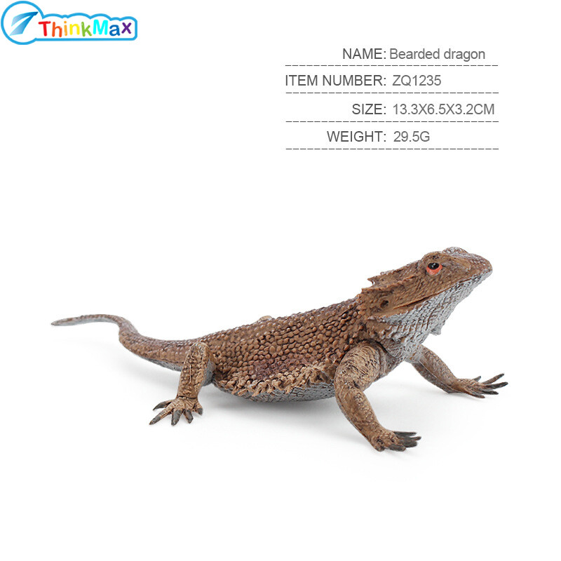 THINKMAX Realistic Wild Amphibian Animal Action Figures Simulation Chameleon Model Ornament Creative Tricky Toys For Kids