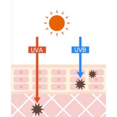 [JMsolution] Glow hoa dạ quang Sun Stick tăng 21g SPF50 + PA ++++