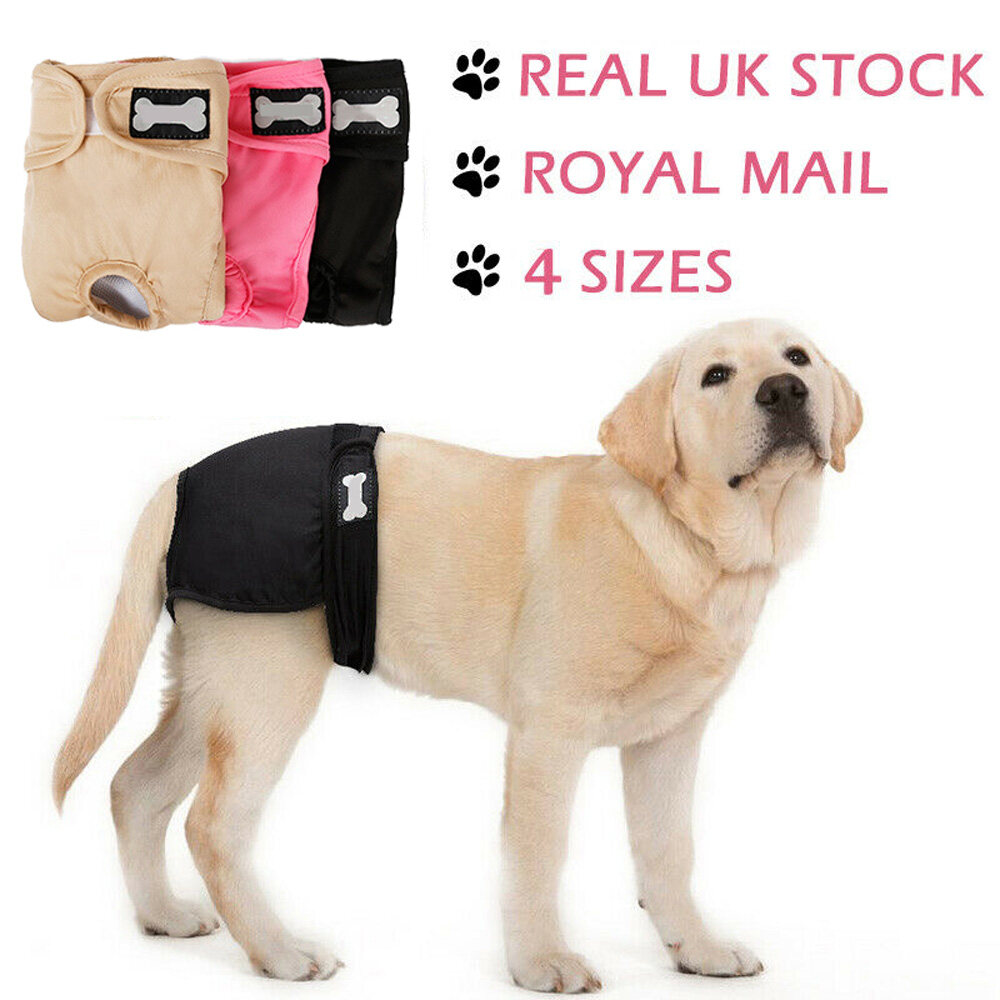 WRQFASF Washable For Female Dog Briefs Nappy Pet Short Physiological