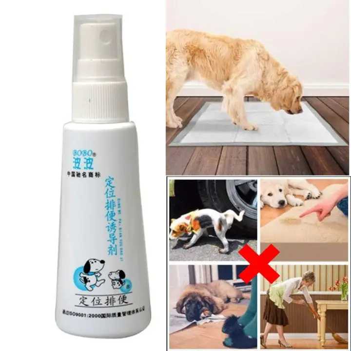 dog foot spray