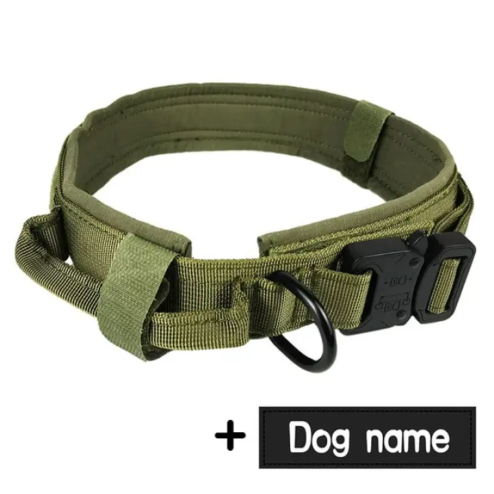 large dog collar with handle