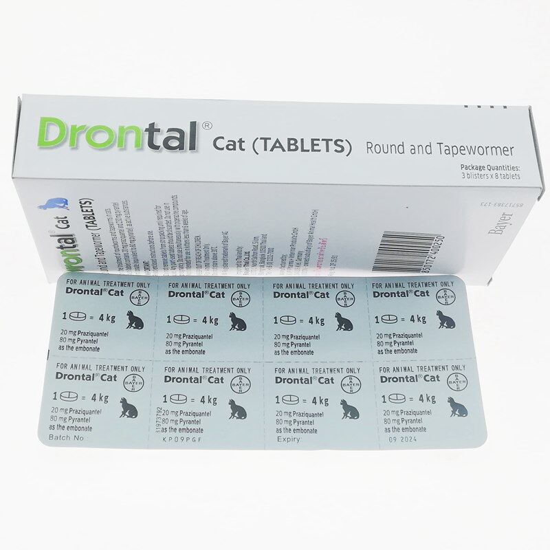 Bayer Drontal cộng với 1 viên thuốc tẩy giun ngon cho mèo
