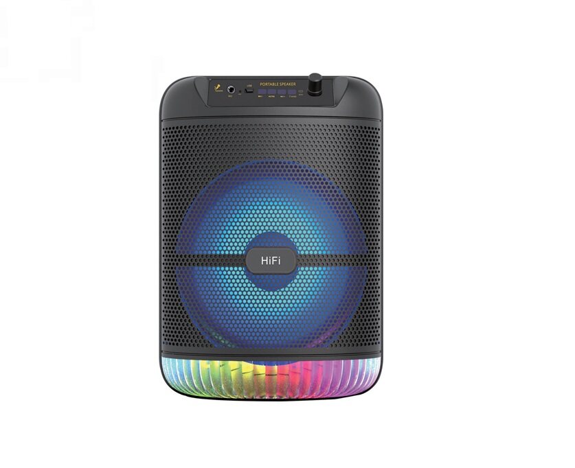 RX8138 8 Inch Portable rechargeable speaker with handle and bt