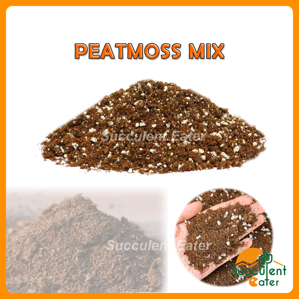 1L Peatmoss mix Perlite Vermiculite Peat Moss For Cactus & Succulents Planting Media 泥炭土 珍珠岩 蛭石