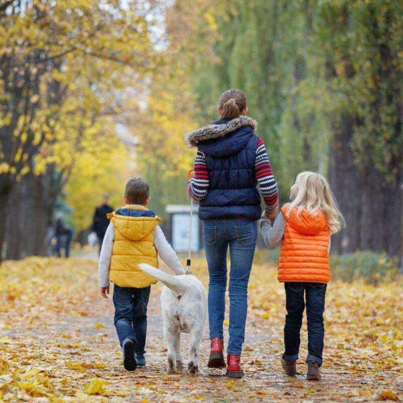 Bite Resistant Steel Wire Dog Leash Heavy Duty Comfortable Handle No