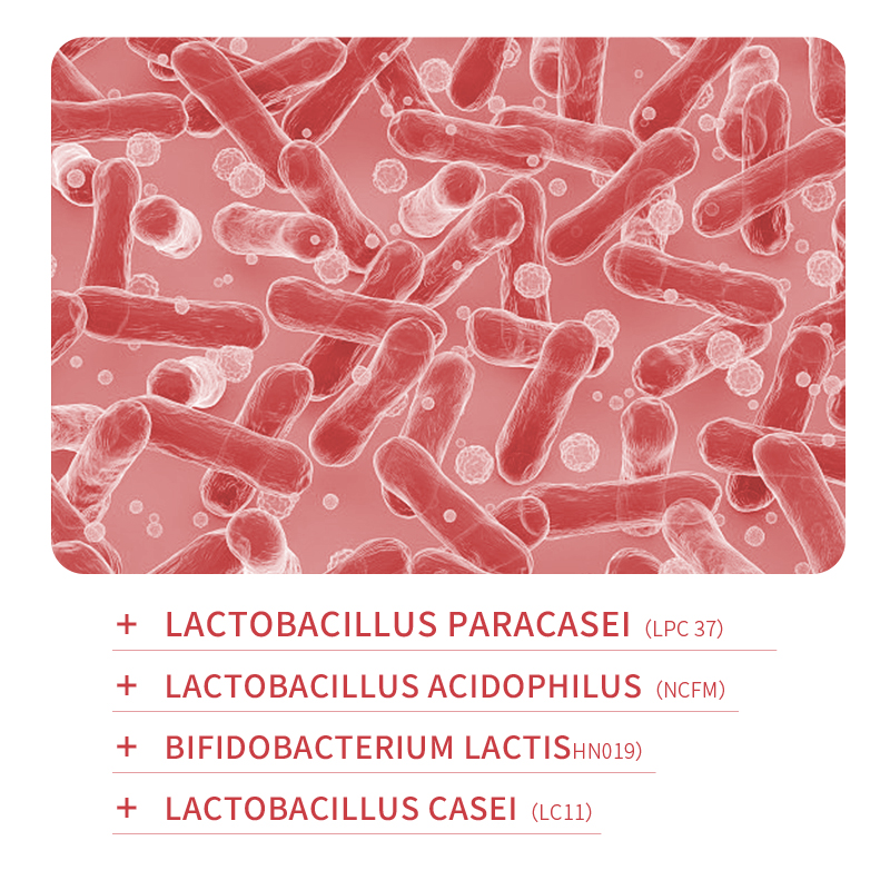 Hunmui nha sĩ lựa chọn Probiotic làm sáng kem đánh răng tươi