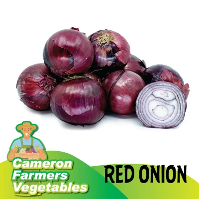 RED ONION Fresh [+/- 500gm] [Bawang Merah Segar Sayur]