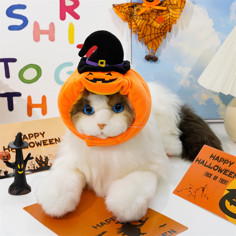 DY Loving New Pet Accessories Dog Halloween Headgear Creative Pumpkin Headgear with Funny Black Wizard Hat Dog Cat Small Pet Party Cosplay Dressed Up