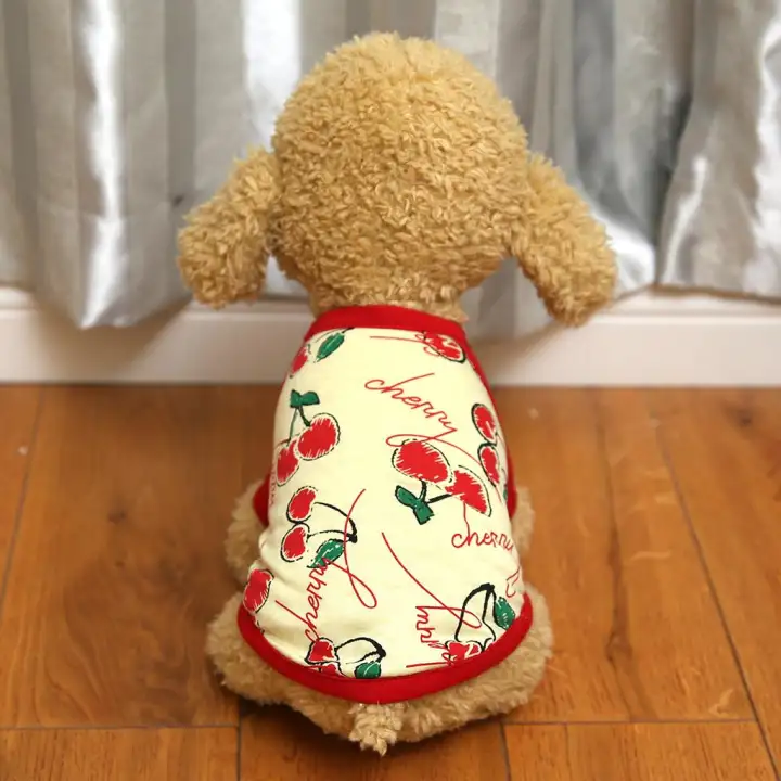 80 Gambar Lukisan Hewan Peliharaan Gratis Terbaru