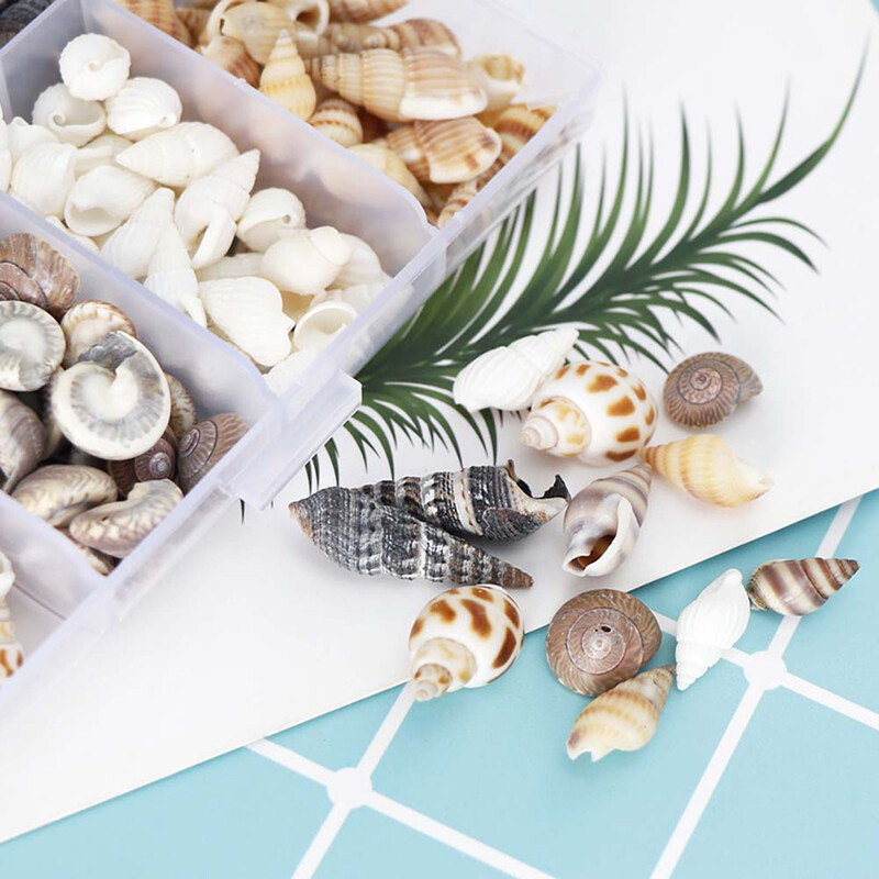 QIA About 100Pcs/Box Natural Conch Shells Aquarium Landscape Seashells Crafts Decor