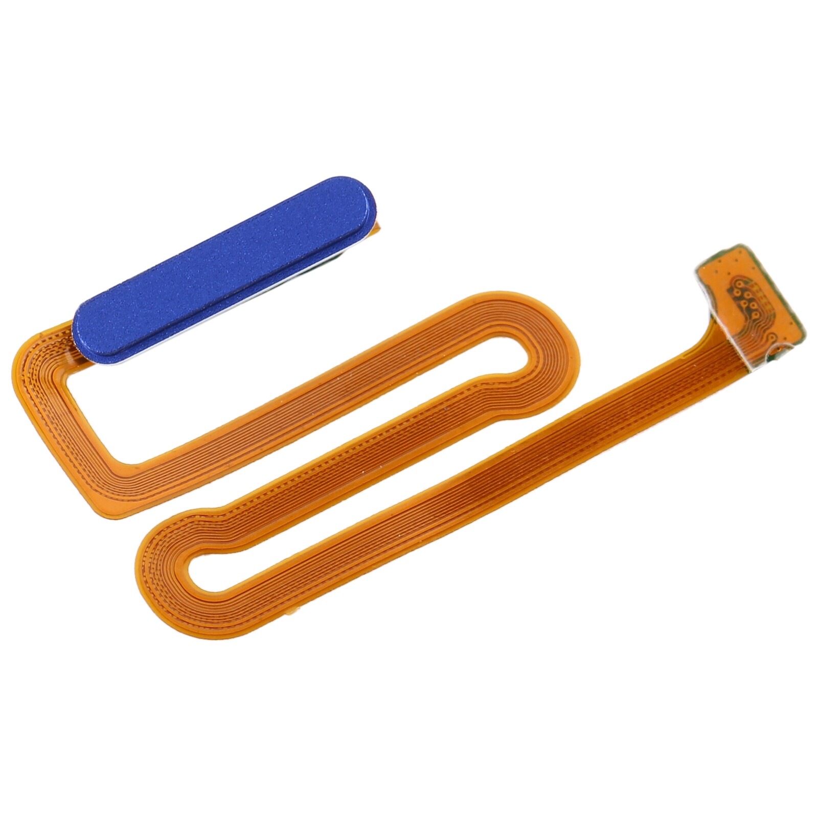 For Samsung Galaxy M12 / A12 / SM-A125 / M125 Fingerprint Sensor Flex Cable(Blue)