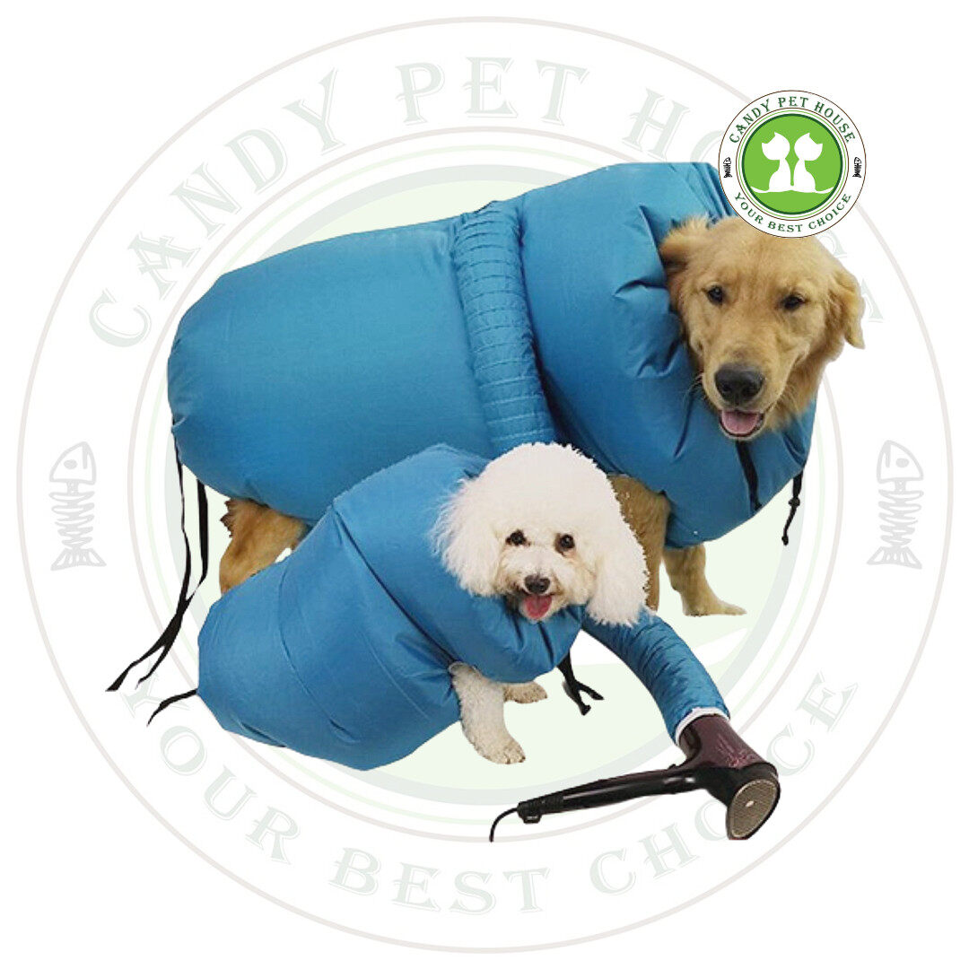 Can I Dry My Dog With A Hair Dryer