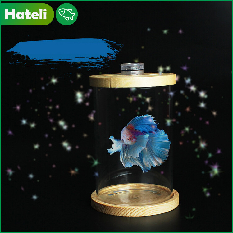 【HATELI】（10*15cm / LED Light）Aquarium Glass Betta Fish Tank Mini Fish Tank Small Fish Tank