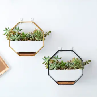 Pots Pots For Indoor Plants Nordic Simple Octagonal Ins Iron Ceramic Flower Pot Wall Hanging Fleshy Flower Pot Set Hanging Plant Pots Lazada Singapore
