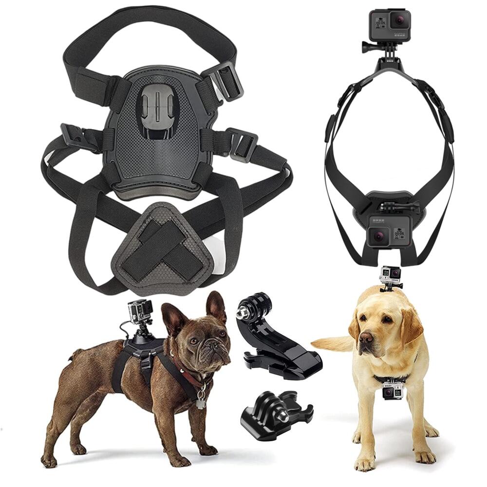 dog mounted gopro