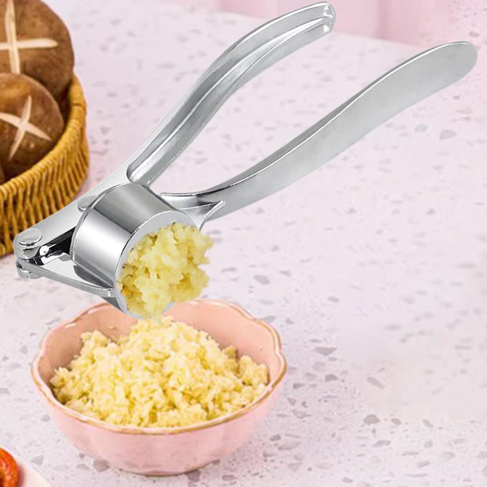 chiwanji Garlic Presser Handheld Kitchen Gadget Garlic Mincer for Onion Garlic Ginger