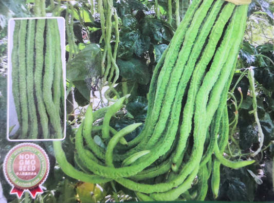 Benih Kacang Panjang Ular Snake Bean Seeds Not Plants Lazada Ph