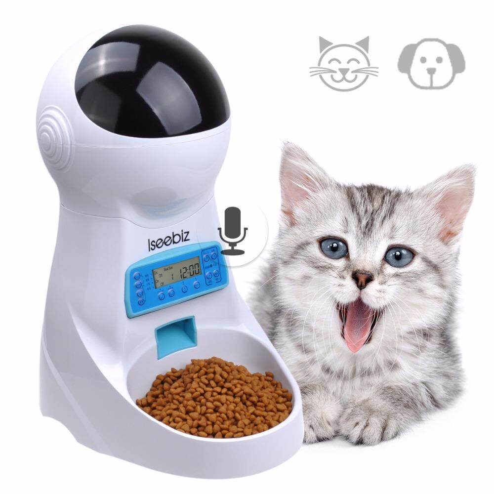 wet food automatic feeder