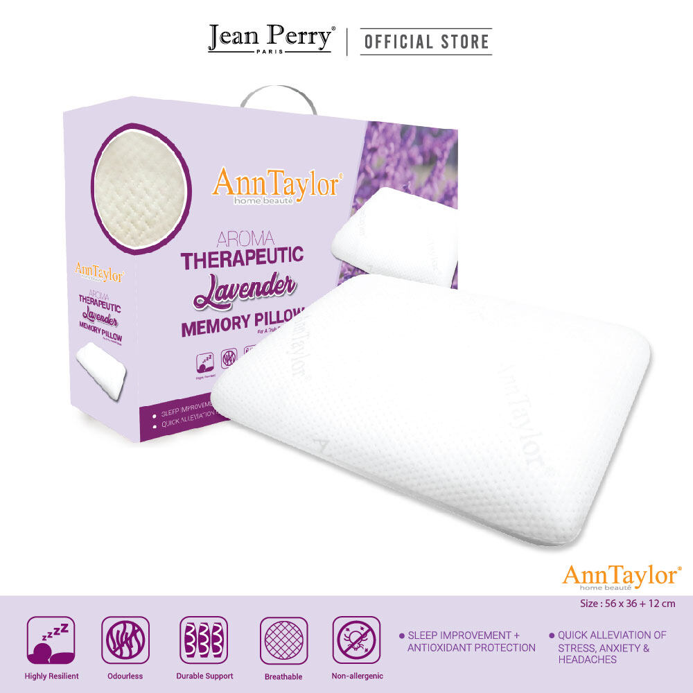 ann taylor bamboo charcoal pillow