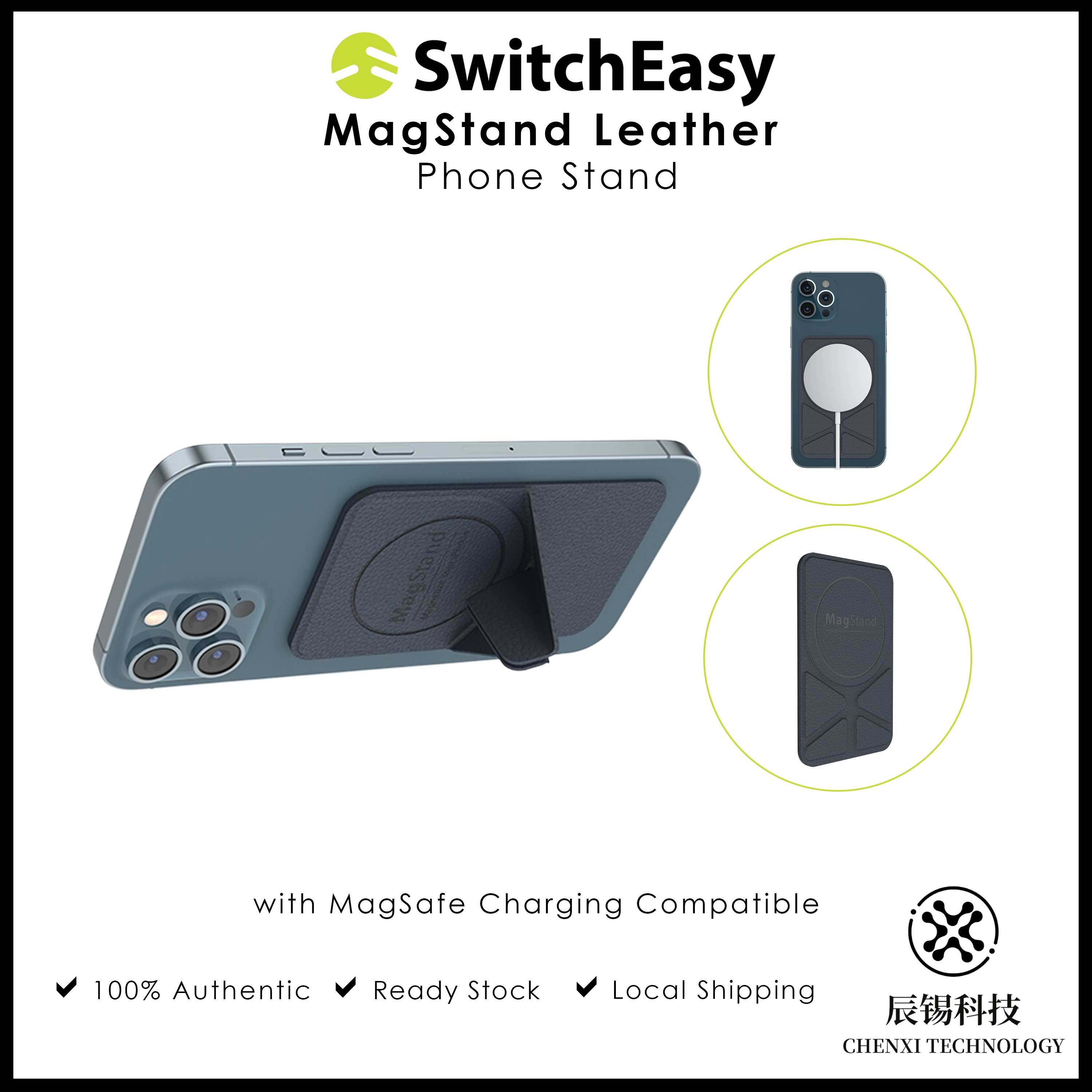 switcheasy magstand