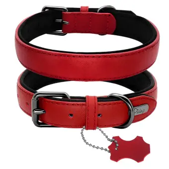 red leather dog collar