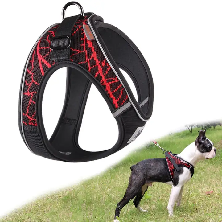 dog harness for french bulldog