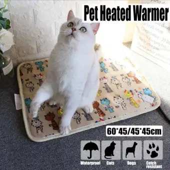 cat heat pad electric