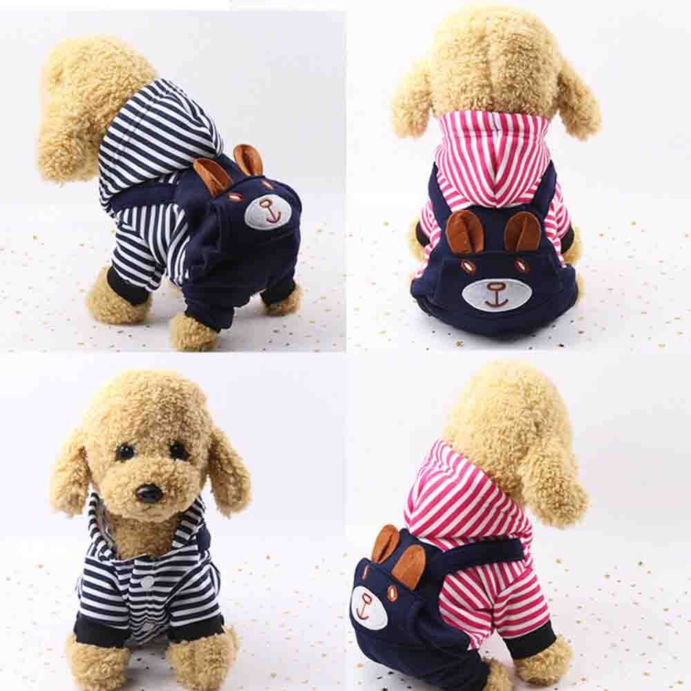 teddy bear dog costume xxl