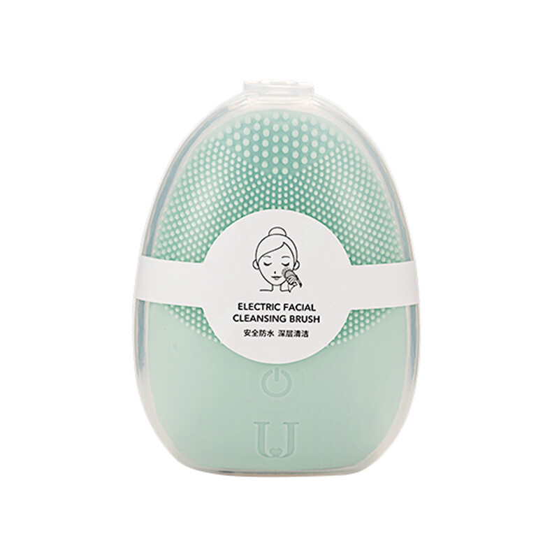 electric cleansing instrument