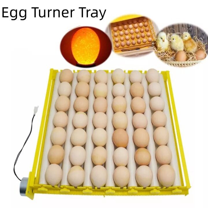 156 Eggs Incubator Tray Automatic Turn Egg With Motor Eggs Incubator