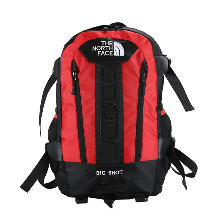 the north face skate backpack