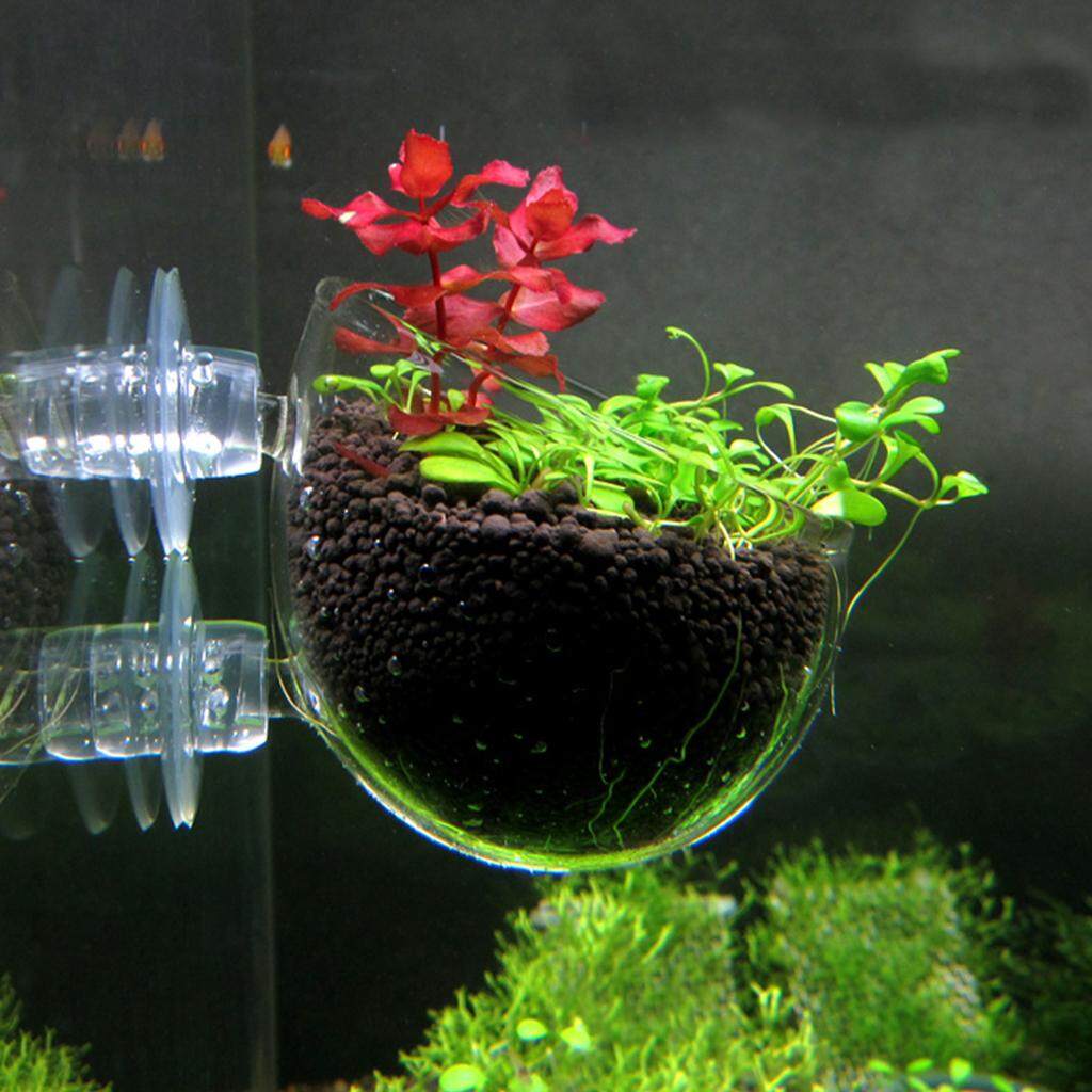 aquarium decorations online