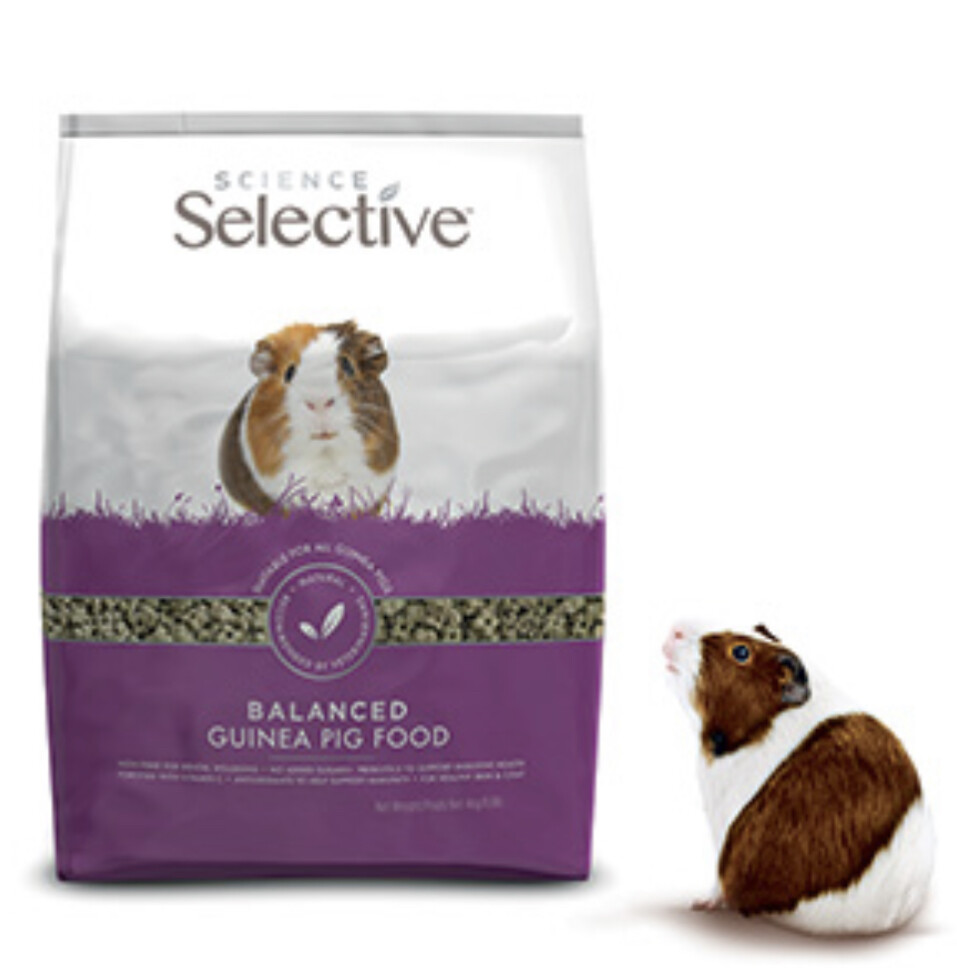 Selective guinea shop pig food 10kg