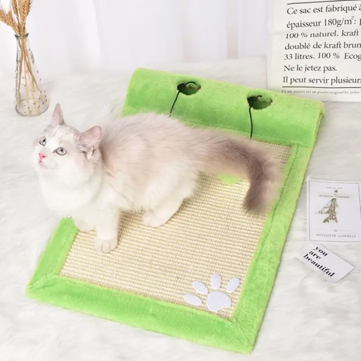 cat exercise toys