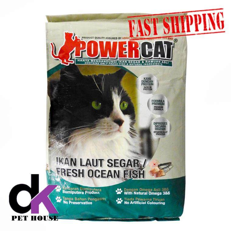 power cat ocean fish