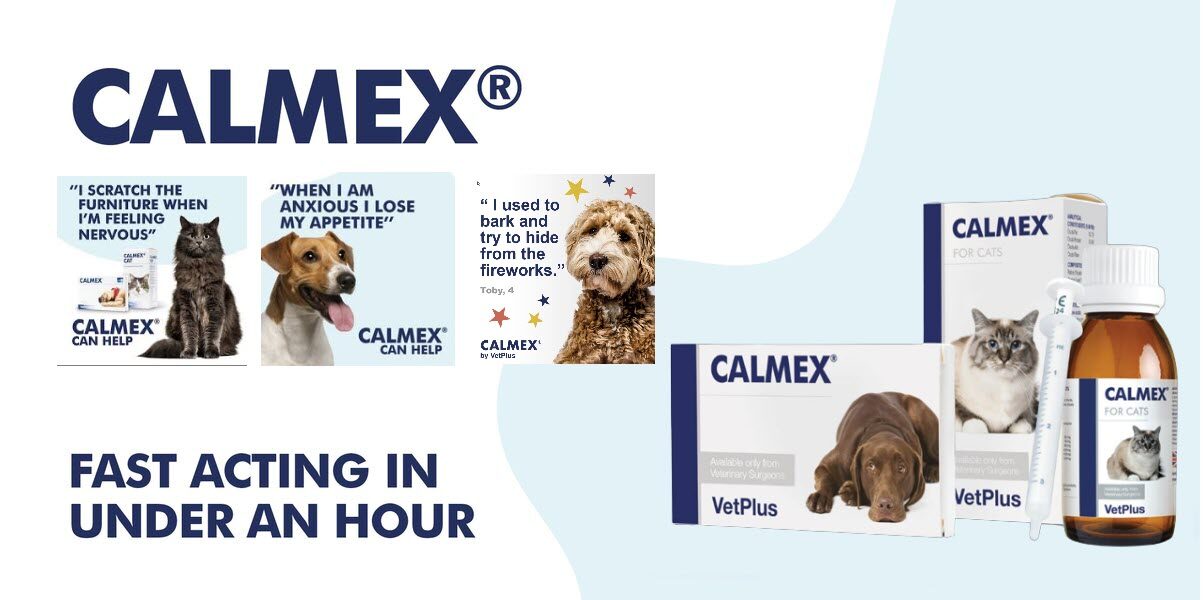 Calmex for outlet dogs