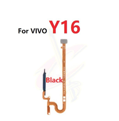 Cảm biến vân tay cho máy quét dấu vân tay VIVO Y16