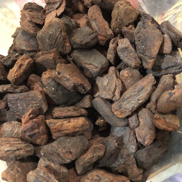 Vỏ thông trồng lan đánh tròn đầu, hàng đẹp size 3-4 cm 1kg